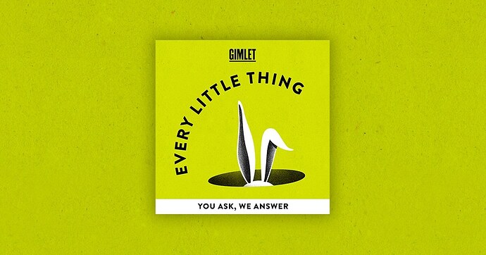 every-little-thingfull